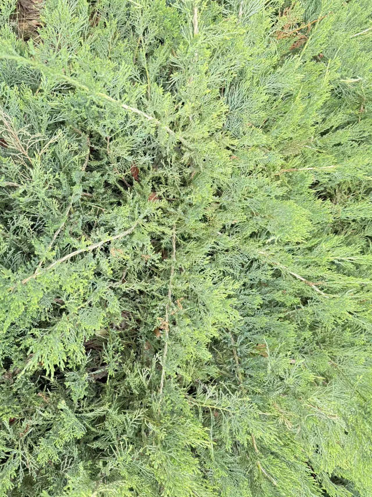 分享一下你随手拍下的照片四季交错，时光轮回，心中有爱万物皆可爱