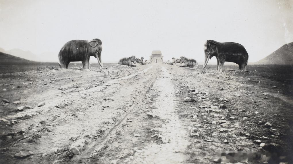1929年北京明陵神道石像生Marble Animals standing gu