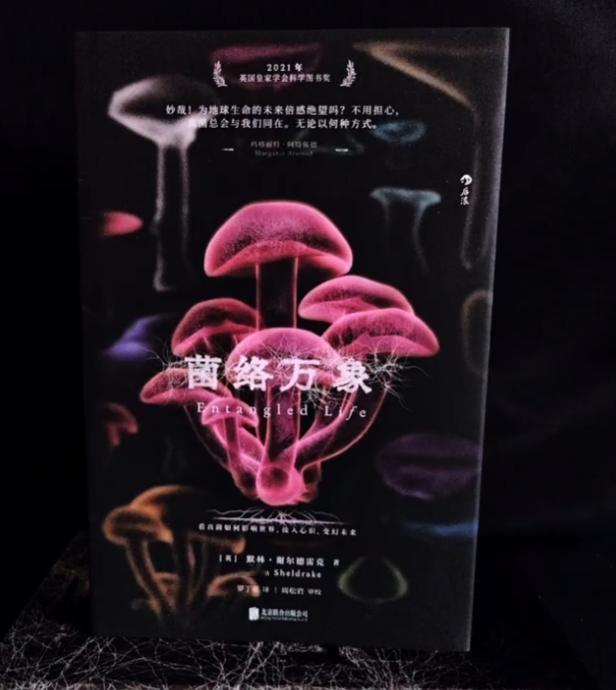 你敢信吗？《阿凡达》中连接万物的灵魂树不是科幻，而是现实！在我们脚下的土壤里，真