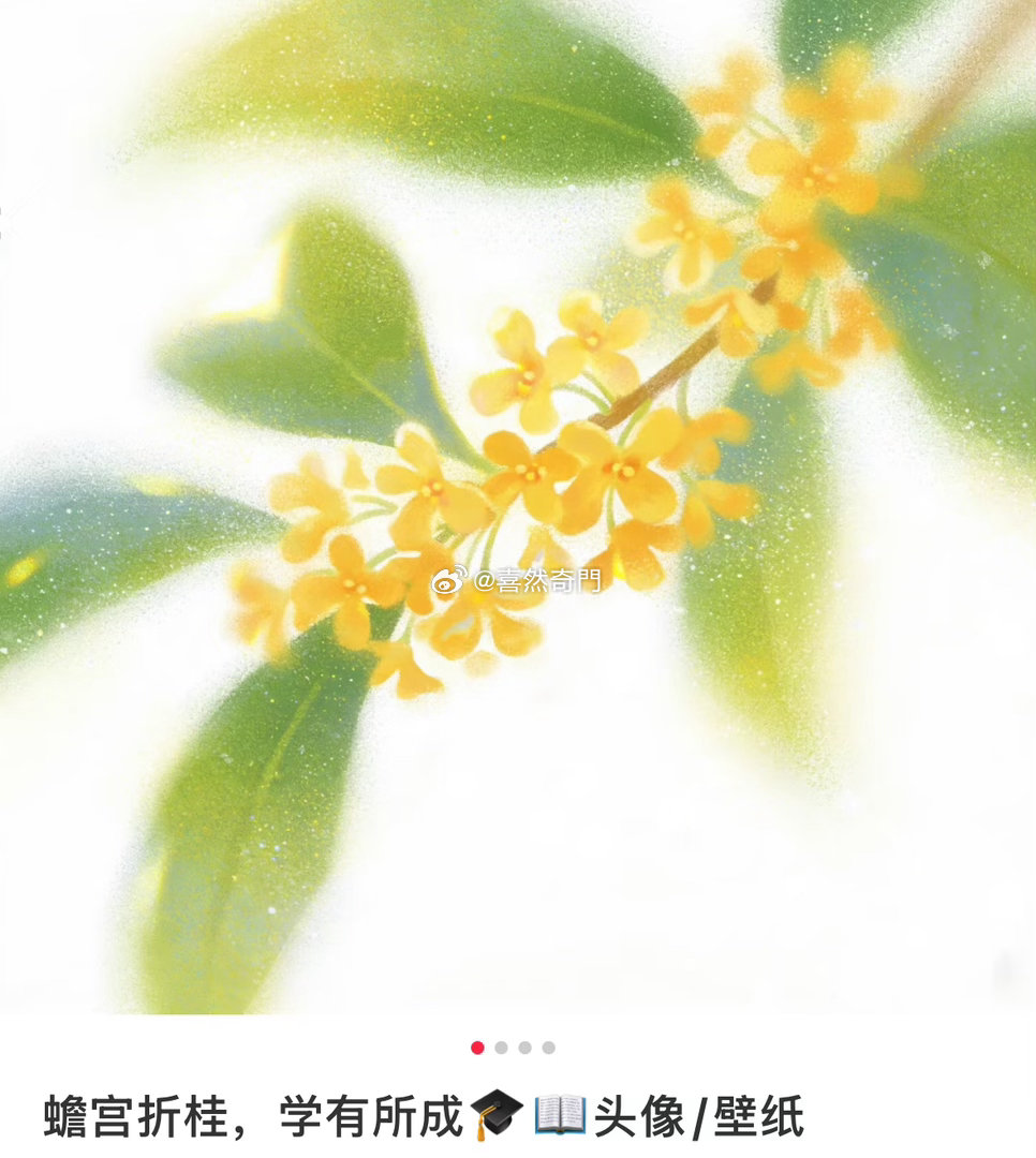 头像分析有个事主也是用了这头像，说是旺学业，旺个屁[允悲]背景这么模糊、模糊就是