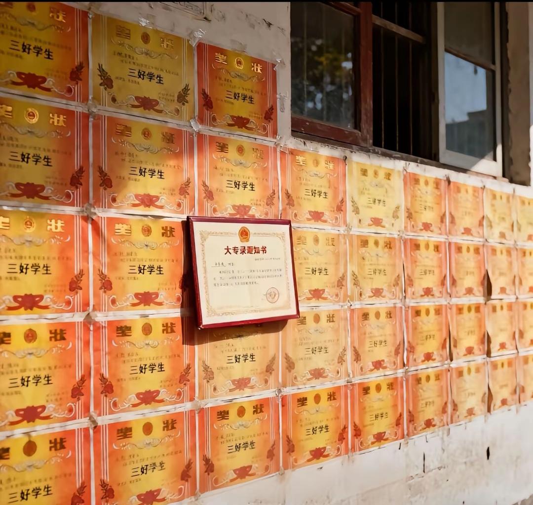 这是网络新梗，南通一直是学霸，最终却考了个大专。

满屋子三好学生奖状，高考失败
