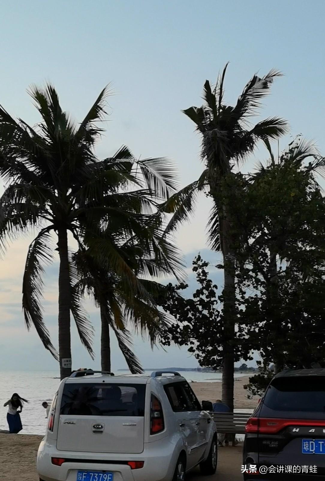 海南风景是不是很美很美。到处是美景，从名牌大腕到小众景点，顾不暇接，比比皆是。海