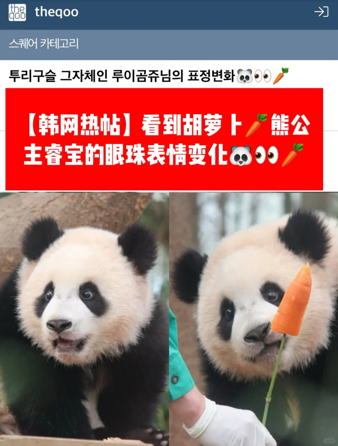 🔥韩网热帖｜看到🥕熊公主睿宝眼睛表情变化