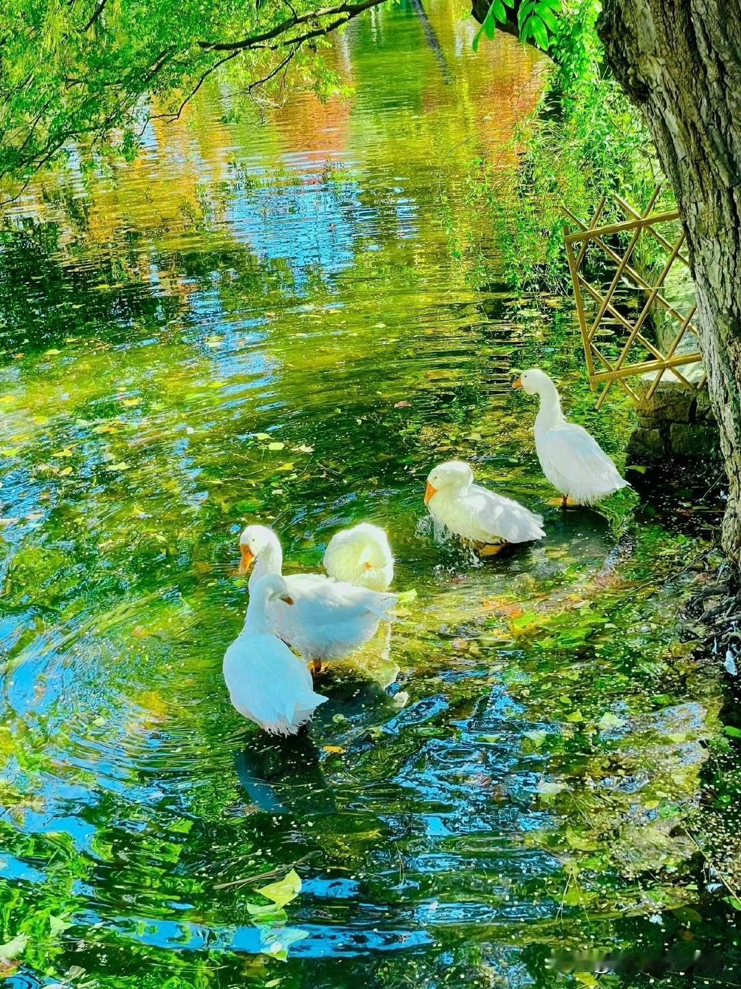 不给展现，我还是在写。现在是废话小卖部。
