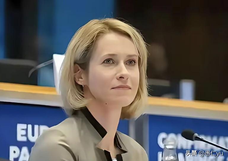 欧盟外长卡拉斯称：我们看到，那些每天袭击基辅的无人机，正在袭击中东。
​俄乌冲突