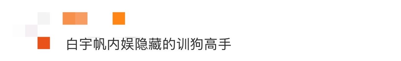 白宇帆内娱隐藏的训狗高手 原来训狗也能帅出新高度！白宇帆半跪在地，轻声安抚受惊的