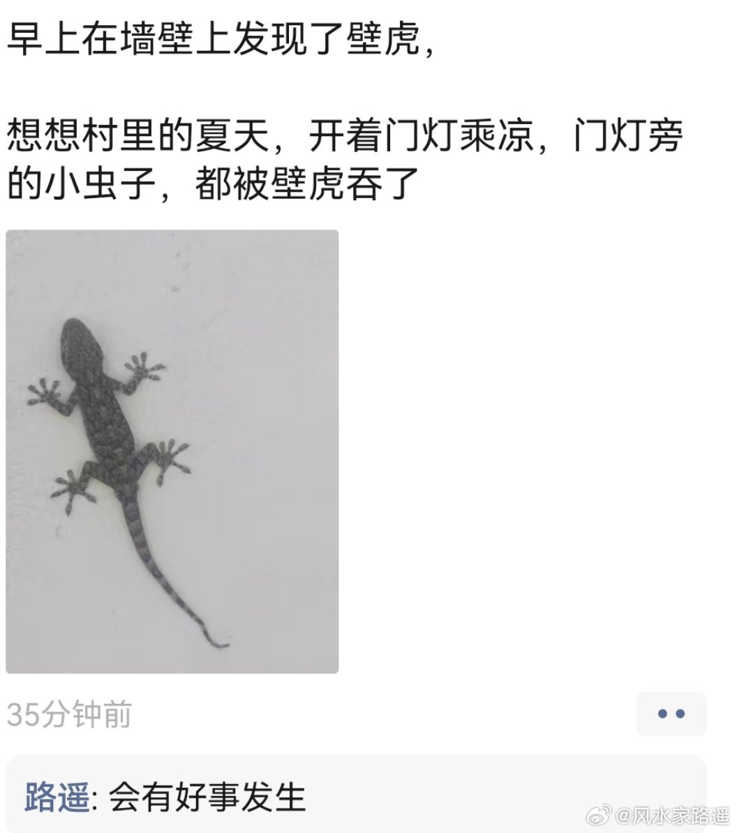 壁虎进家，会有好事发生。 