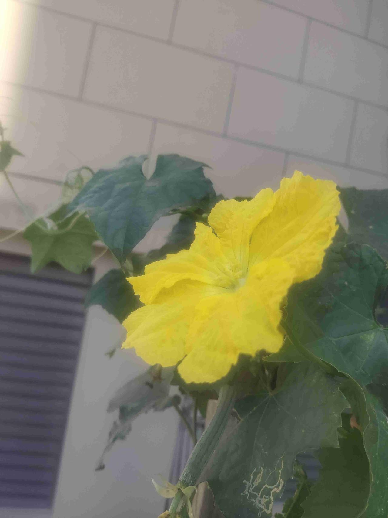 我的今日状态：😁轻松愉快
我这里的天气：☀️晴天