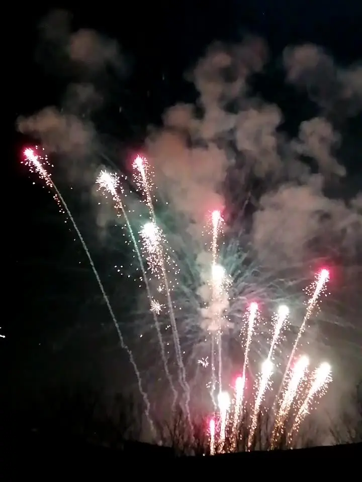 大家新年快乐！新的一年事事顺遂！