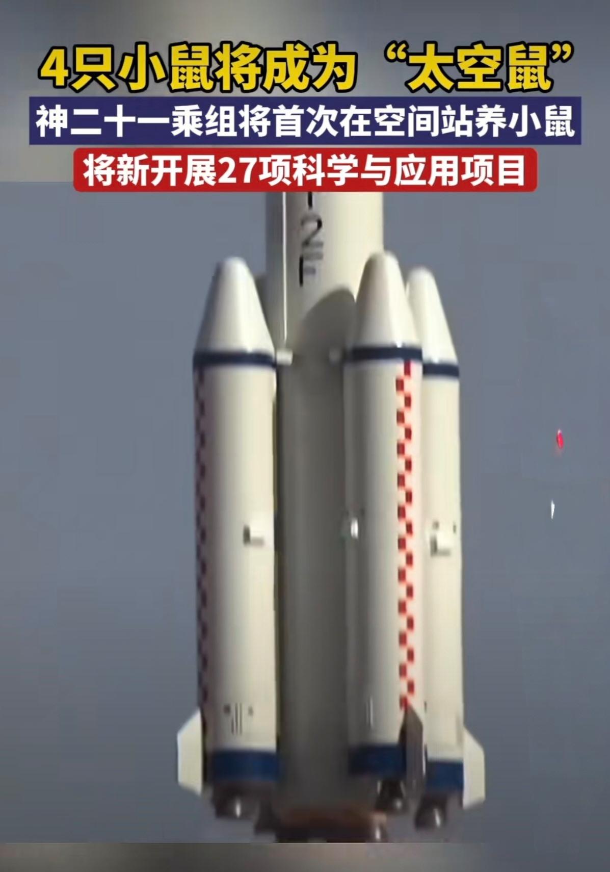 4只小鼠顺利入住空间站 我国哺乳动物空间实验启新篇
 
北京时间2025年11月