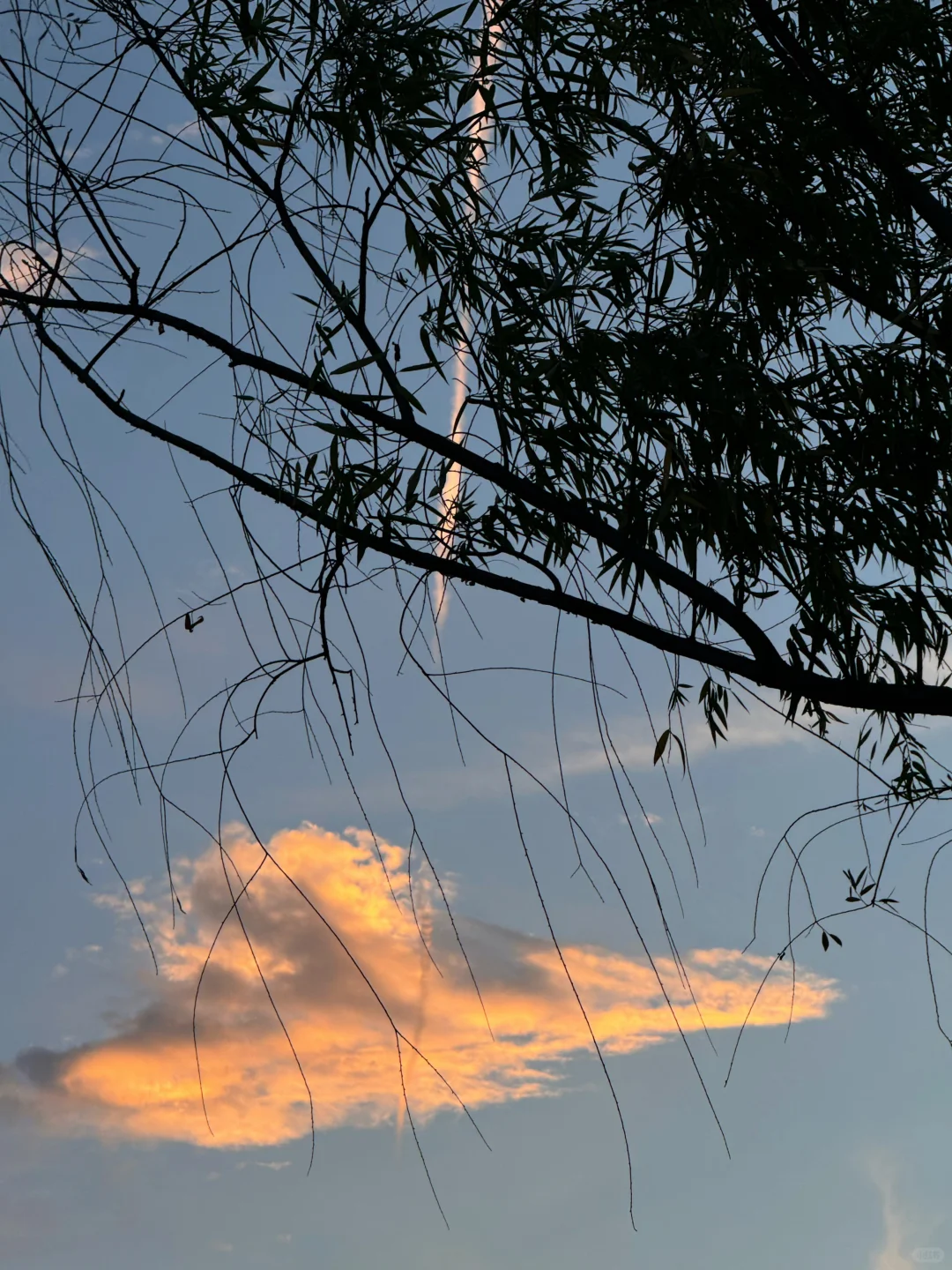 天早灰蓝 偏未晚