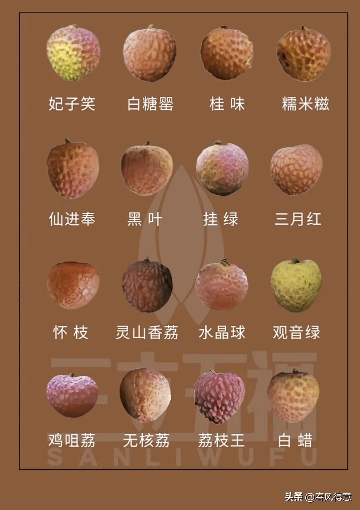 探索这些常见的荔枝，你都吃过吗？🍒😋