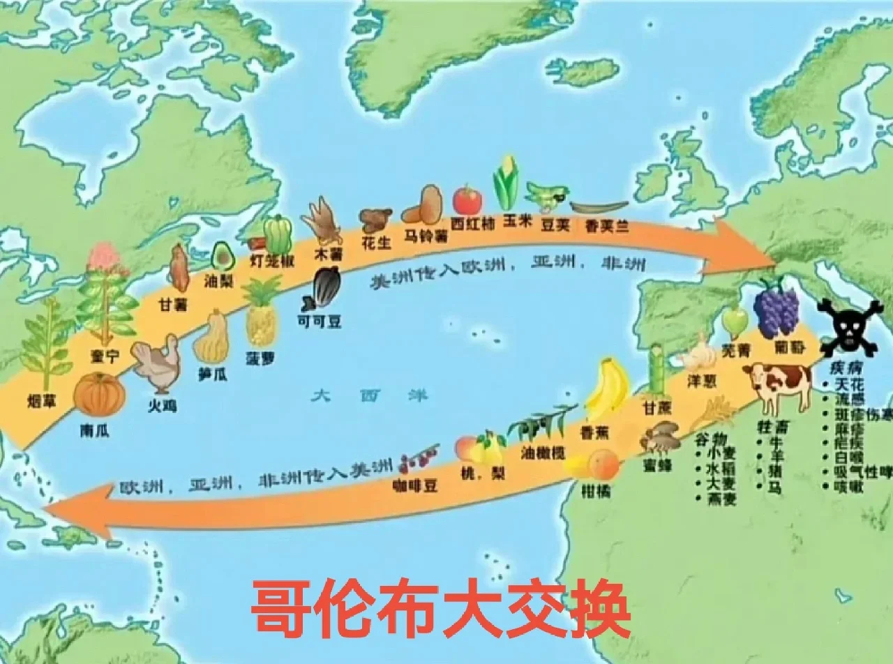 无论哪一类 美洲大展，首先要讲清楚的是人和自然，而不是单一文物。人和自然是底色，
