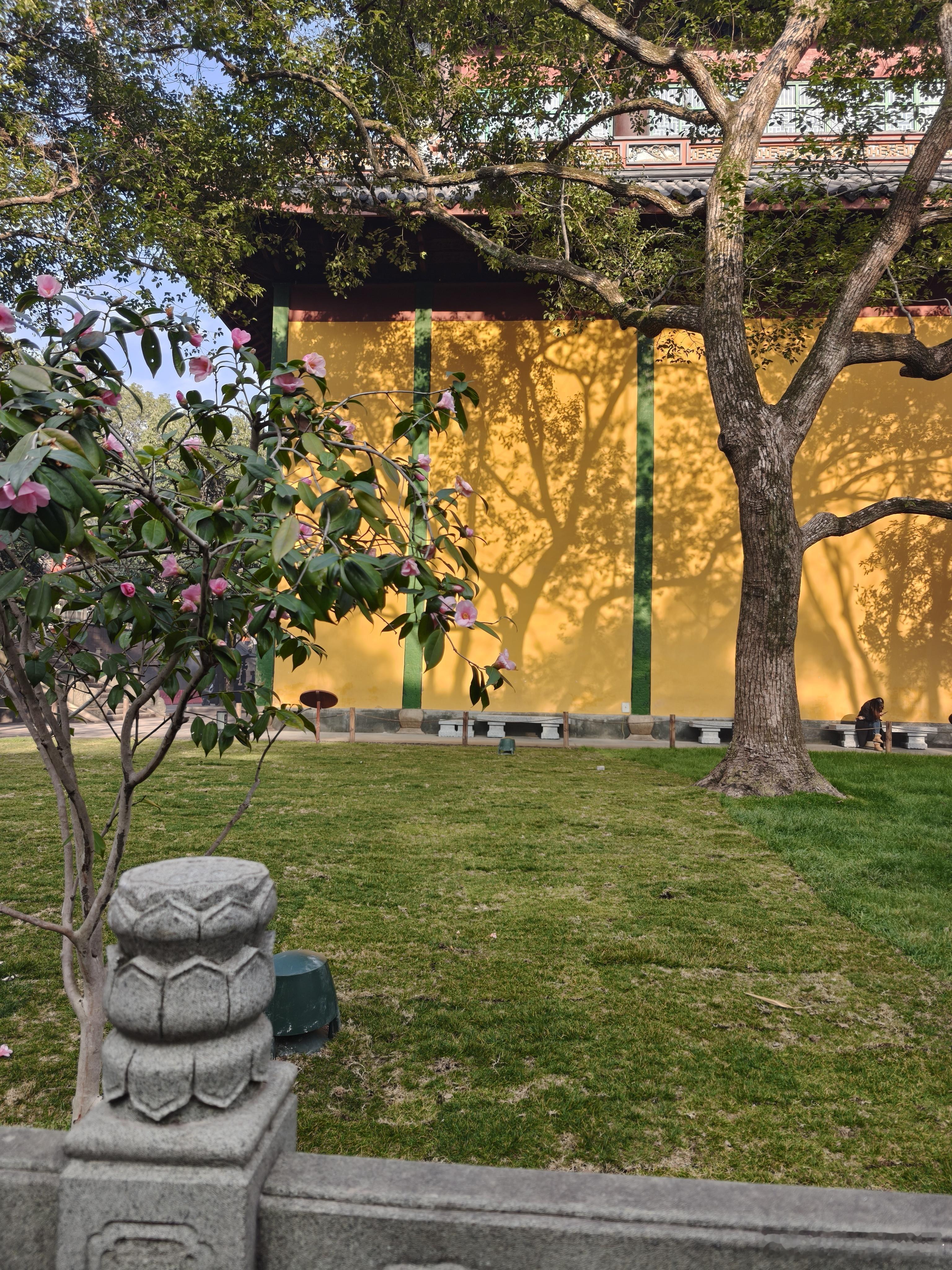 古刹黄墙映繁花飞檐翘角探云间池鱼悠然戏清波心随梵音渐平和 杭州·灵隐寺