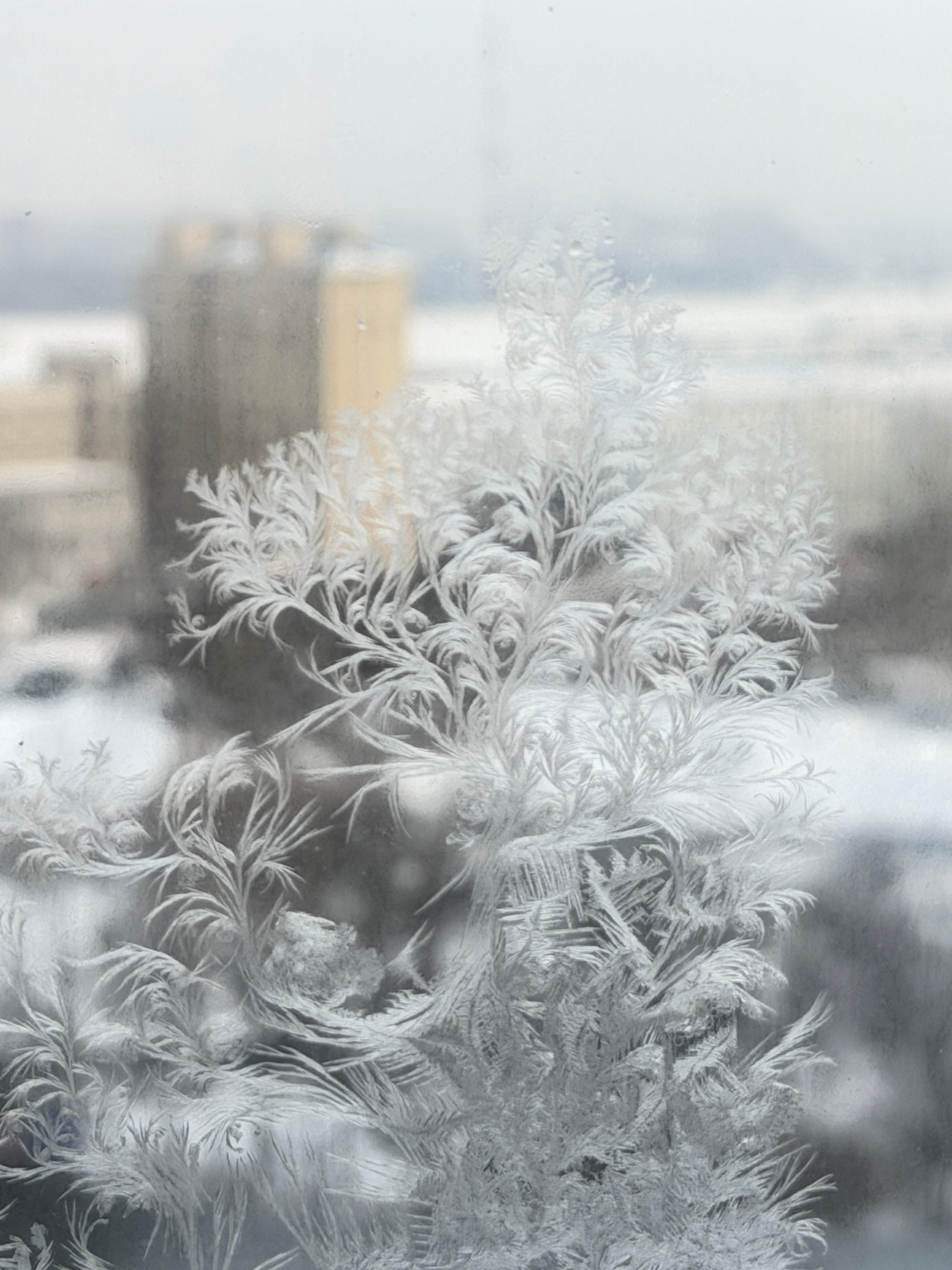 就算是来零下三十度的黑河出差，每天30分钟锻炼也不落下！没有借口，就是走起！