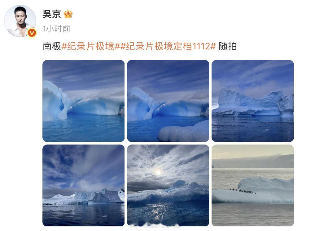 吴京这组南极6宫格随拍绝了！冰川似巨龙蜿蜒，企鹅如精灵嬉戏，将南极的壮美与灵动完