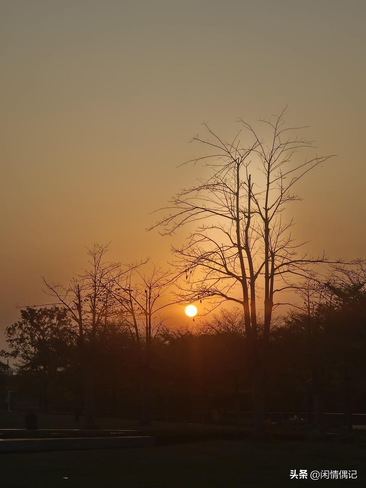 杨绛先生说：“剧场的戏，啥都是假的，只有观众是真的；人生的戏，啥都是真的，只有观