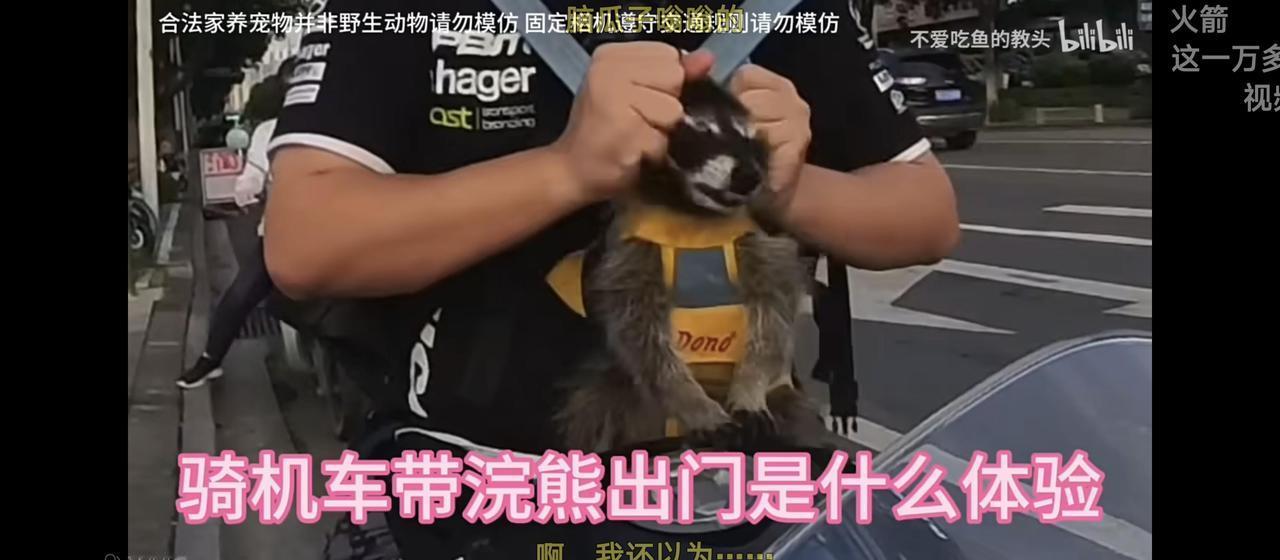 广西男子因单手抱狗骑摩托被罚，如何合法安全地携带宠物出行呢？
---------