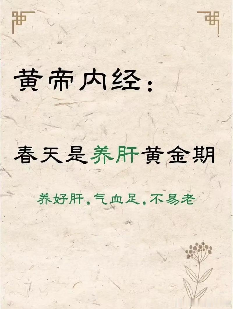 春季是养肝黄金期健闻登顶计划 春天来了，万物生发。中医学讲“春应肝”，春季阳气升