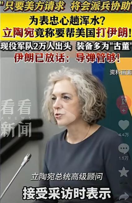 立陶宛发话了：要帮美国打伊朗。

只要美方请求，将会派兵协助。

为表忠心趟浑水