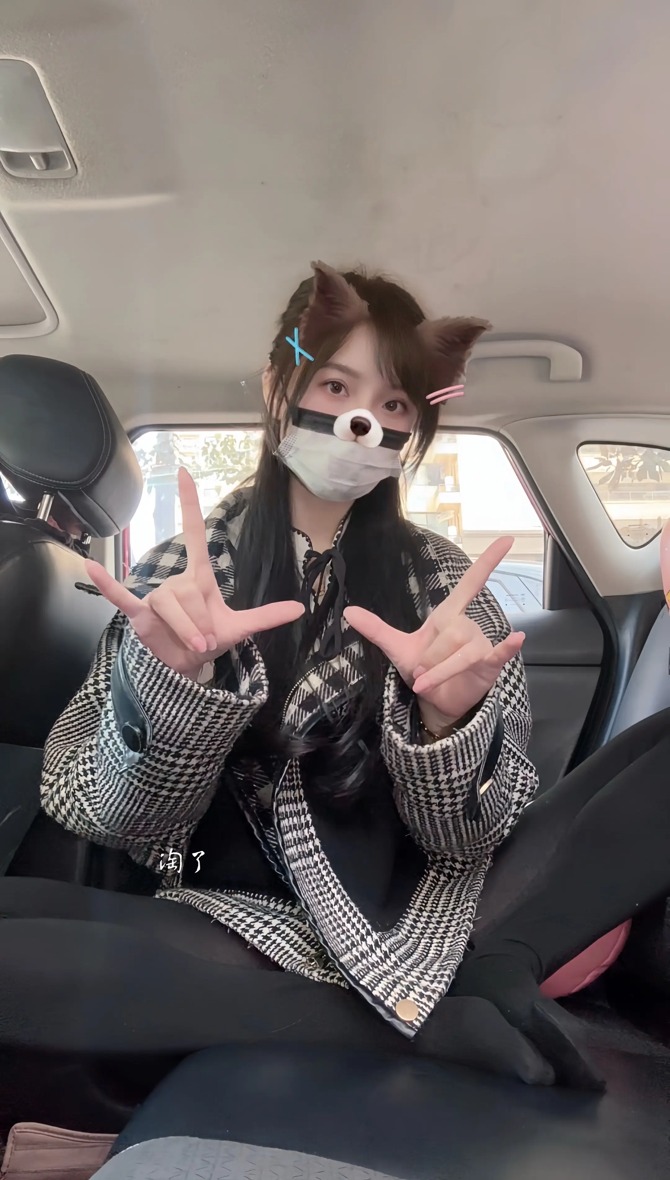 真情 像梅花开过