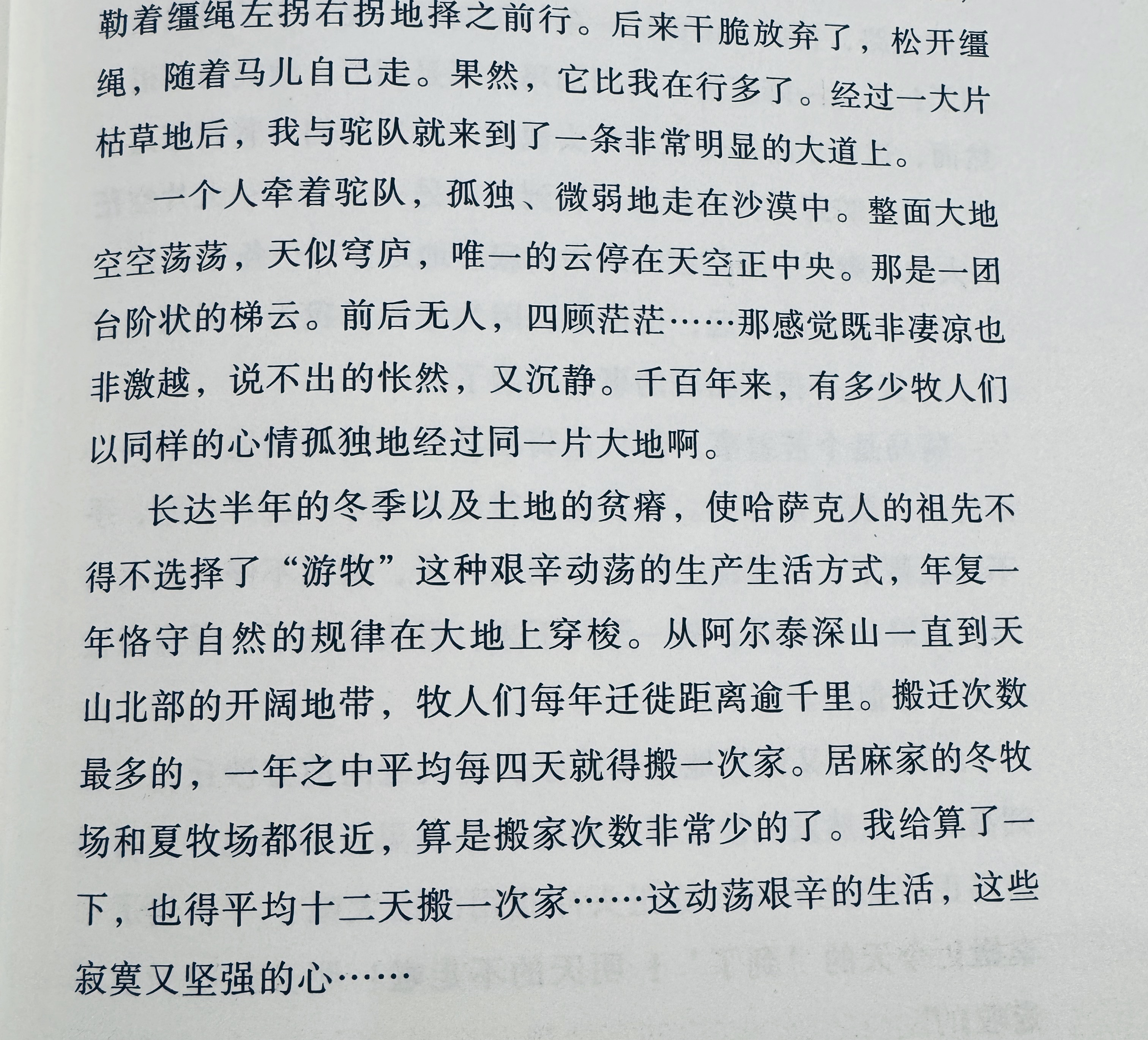 一个人牵着驼队，孤独、微弱地走在沙漠中。整面大地空空荡荡，天似穹庐，唯一的云停在