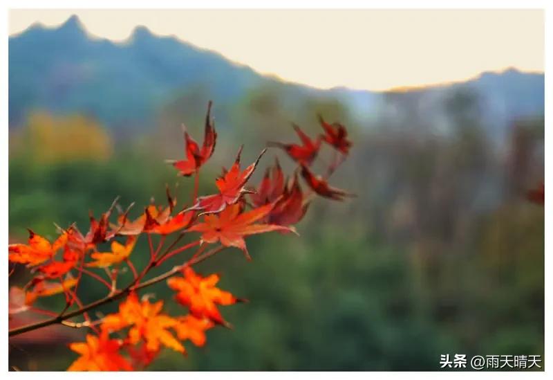 上联：夏日荷花香满池

下联：秋霜枫叶艳盈山