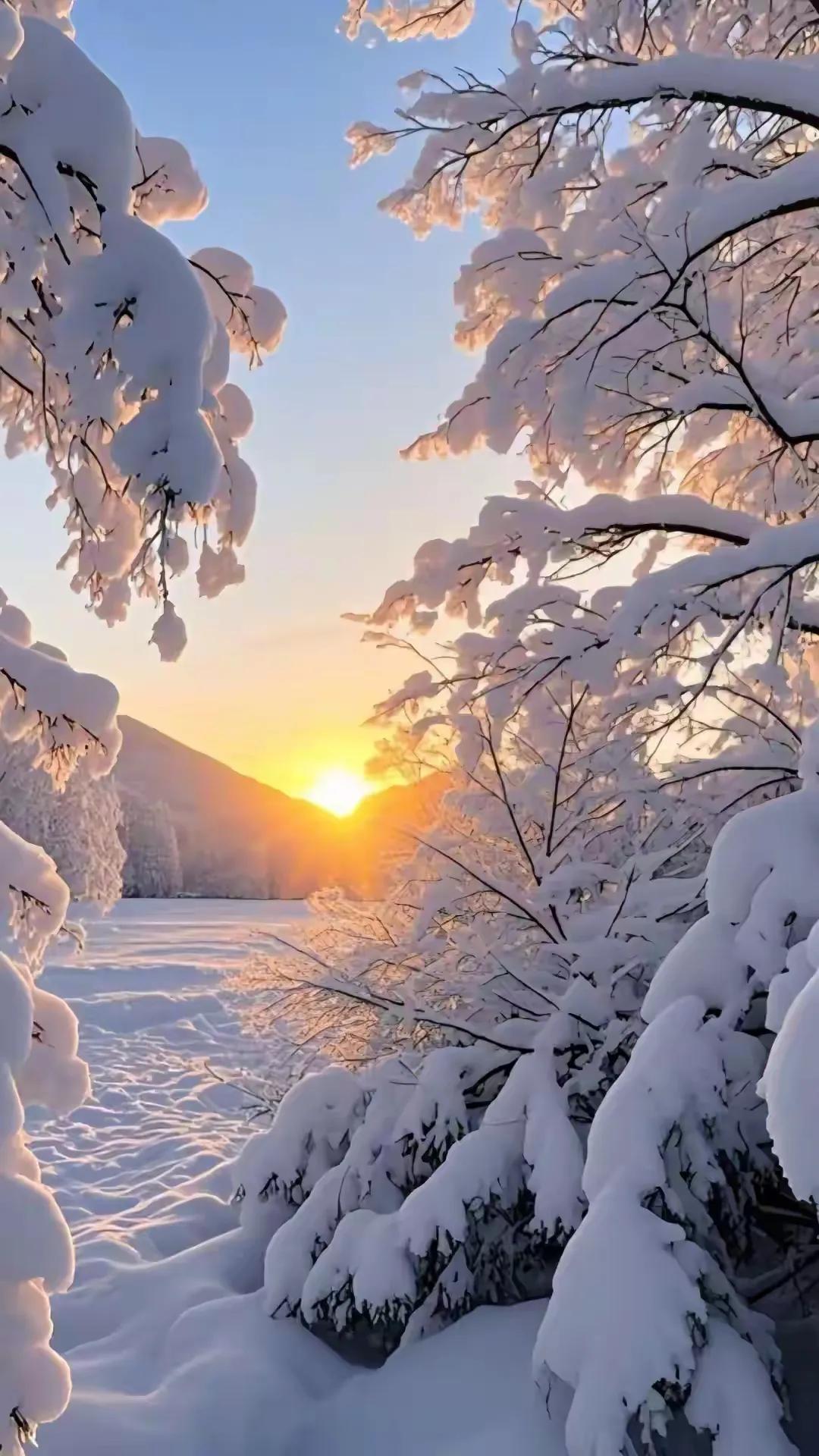 冬雪
银装素裹九霄寒
一夜白雪随风来
大街小巷雪抒情
千山万水喜开颜
​