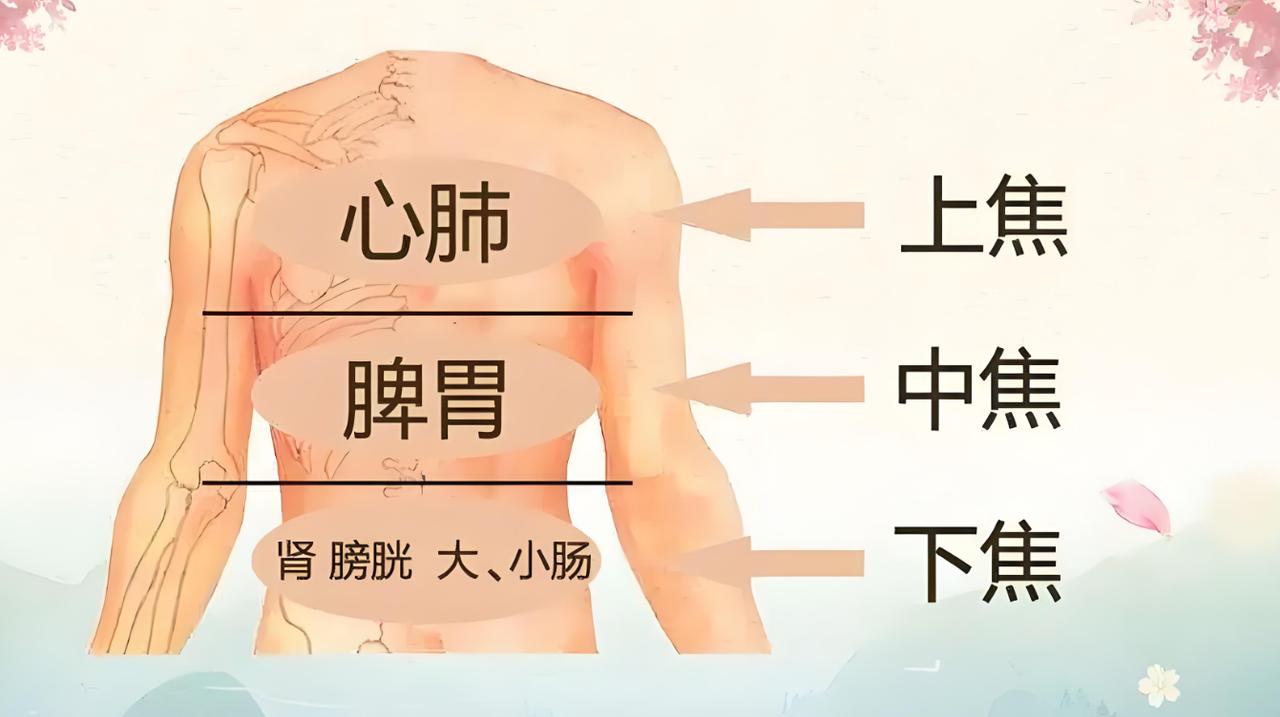 三焦火旺，百病杂生，牢记三个用药思路，清三焦之火，还你一身轻松！

一：上焦火旺