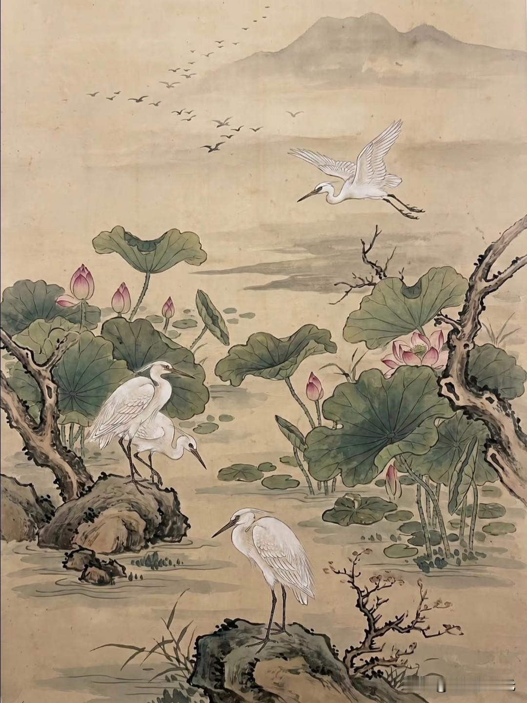 荷塘清浅，白鹭翩跹，一夏安然自在。
酌月绘国风插画分享 白鹭小憩 
清韵荷塘