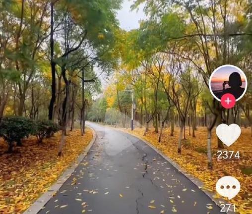 苦渡人间，仍爱生活
 
        人间从非净土，每个人都在各自的苦难里跋涉