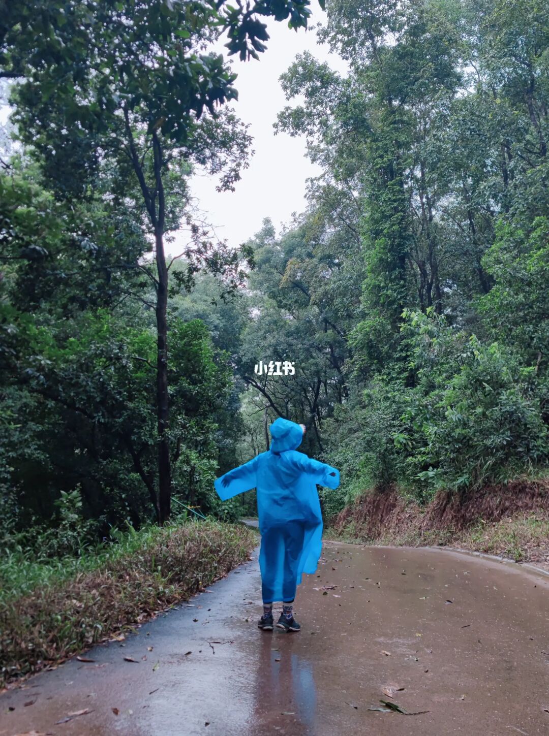 和我一起去徒步🧗‍♀️下雨天☔️咱们慢慢走🦯