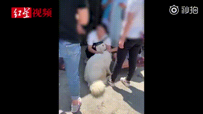 爱狗人士围堵解救300只狗，狗贩：“全家靠此为生 我哪里违法了”，你怎么看？ ​