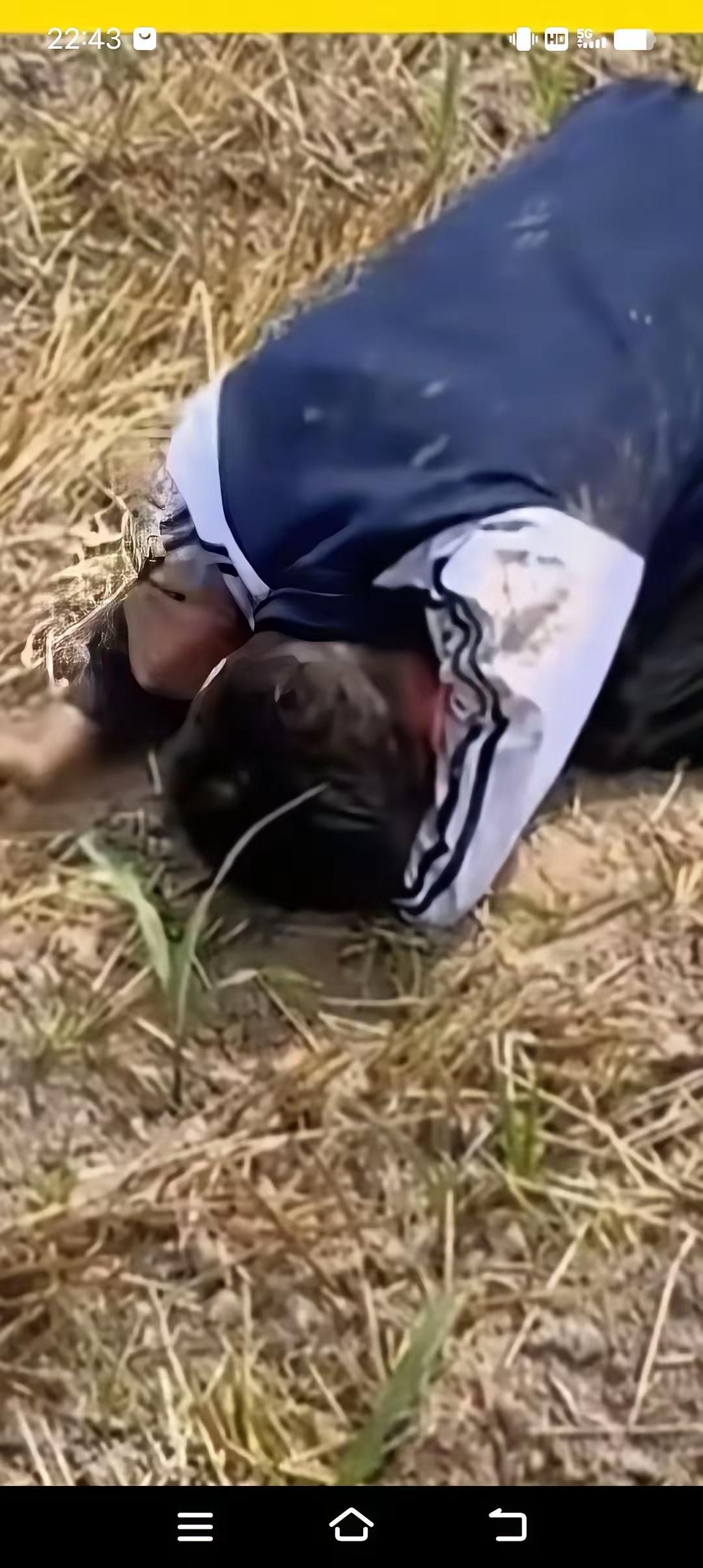 心痛，痛的让人泪流满面，男孩父母双亡，独自生活13年，男孩填好志愿，即将被录取，