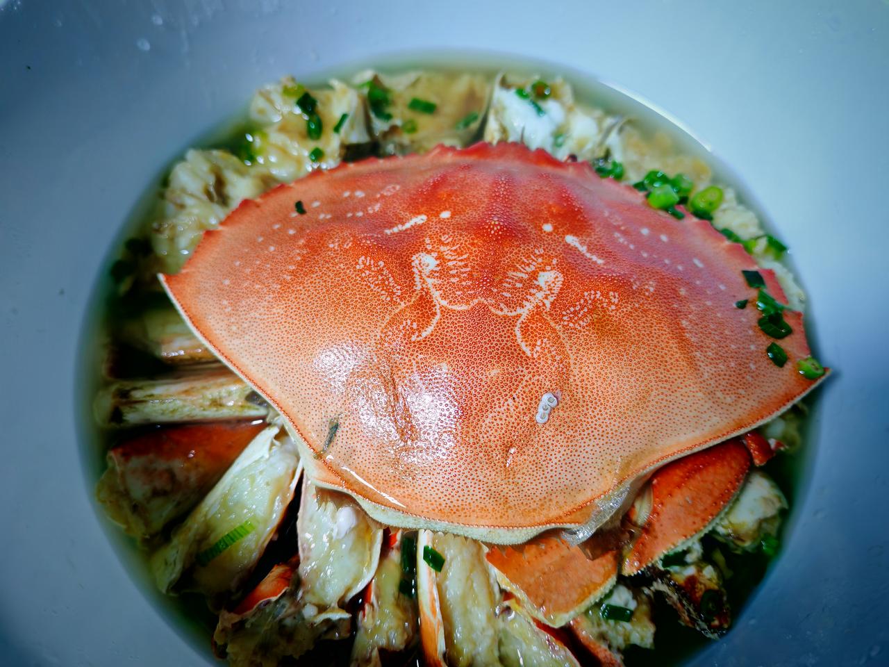 天南地北大拜年