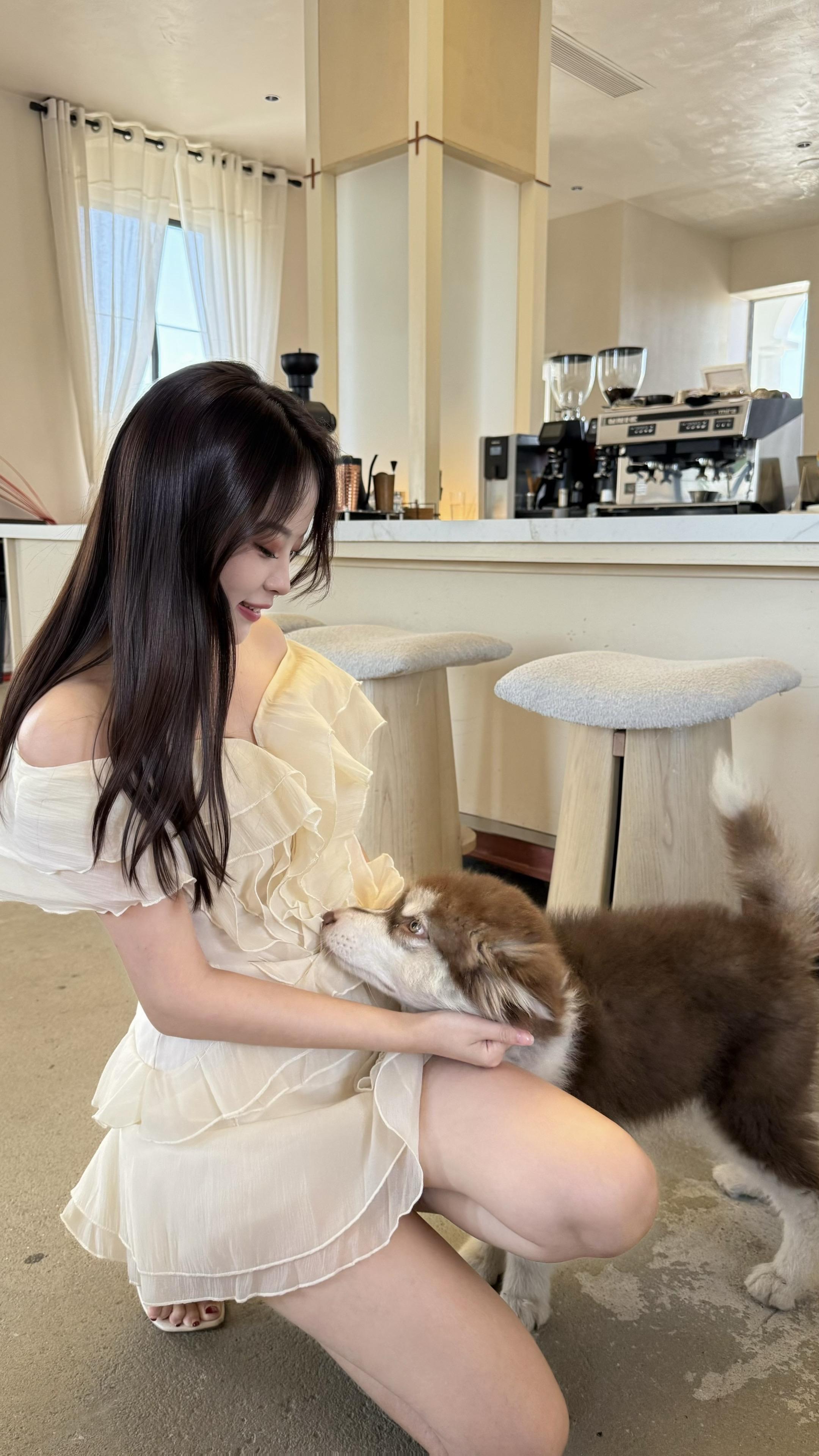 不敢骗你养小狗
