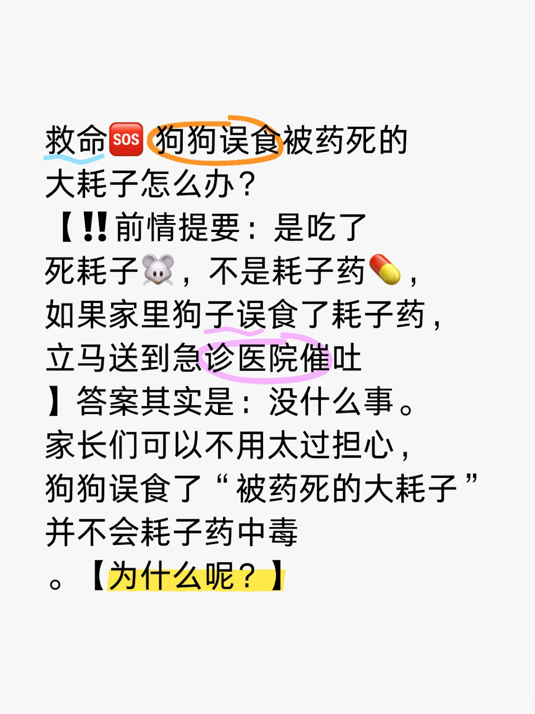 救命🆘 狗狗误食被药死的大耗子怎么办？ 【‼️前情提要：是吃了死耗子...