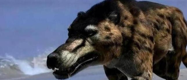 1973年，一头神秘野兽“驴头狼”进入部队捕食，被哨兵当场射杀，然而，当看清野兽