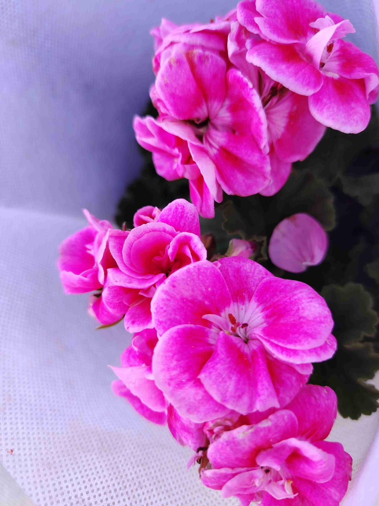 我的今日状态：🏝️旅行度假
我这里的天气：☀️晴天