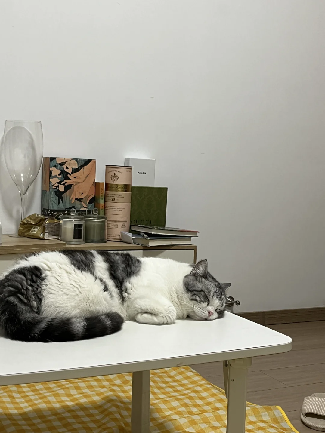 小猫咪睡的太乖啦
