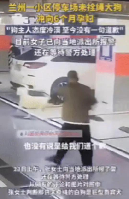 “必须严惩！”甘肃兰州，三名女子经过地下停车场时，突然，一只白色贵宾犬冲了过来，