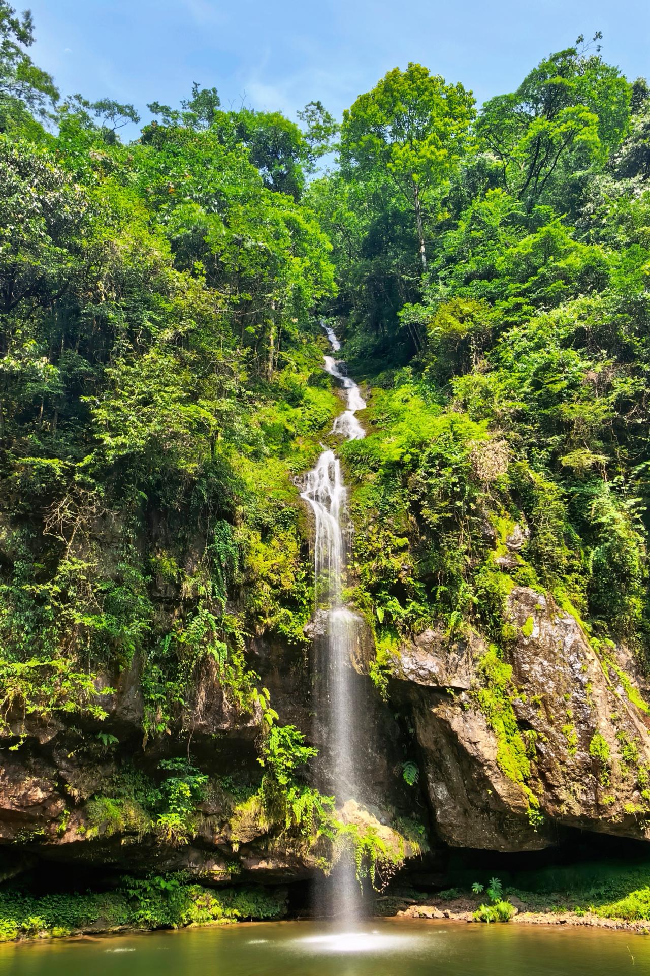 龙苍沟·森野漫游｜择一日奔赴龙苍沟，便一头扎进了漫山叠叠的绿意之中。沿着叠翠溪缓