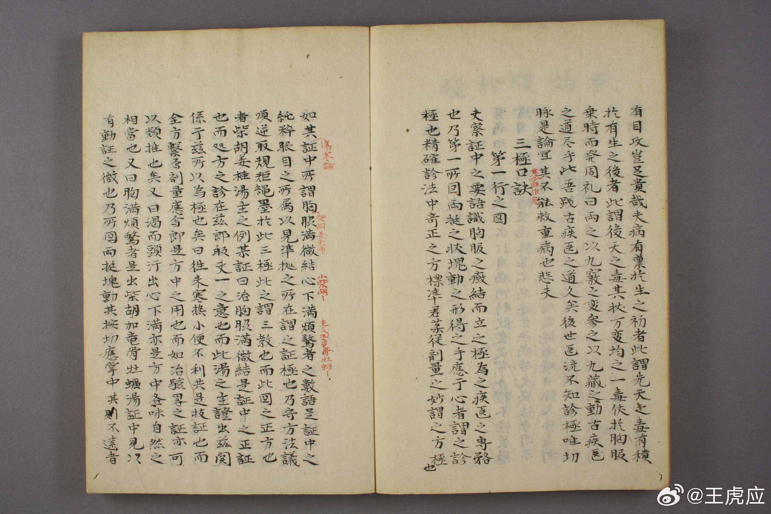 《诊极图说》是日本江户时期汉医濑丘长圭撰写的腹诊专著，全书分上下两卷，仅以手抄本