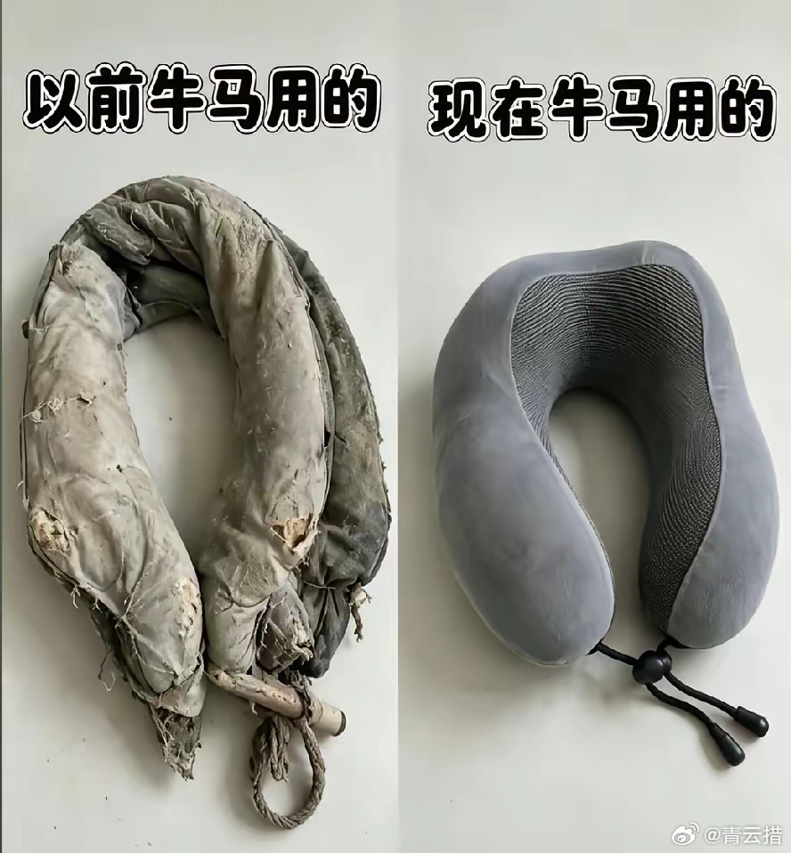 艹，有点过于形象了。 ​​​