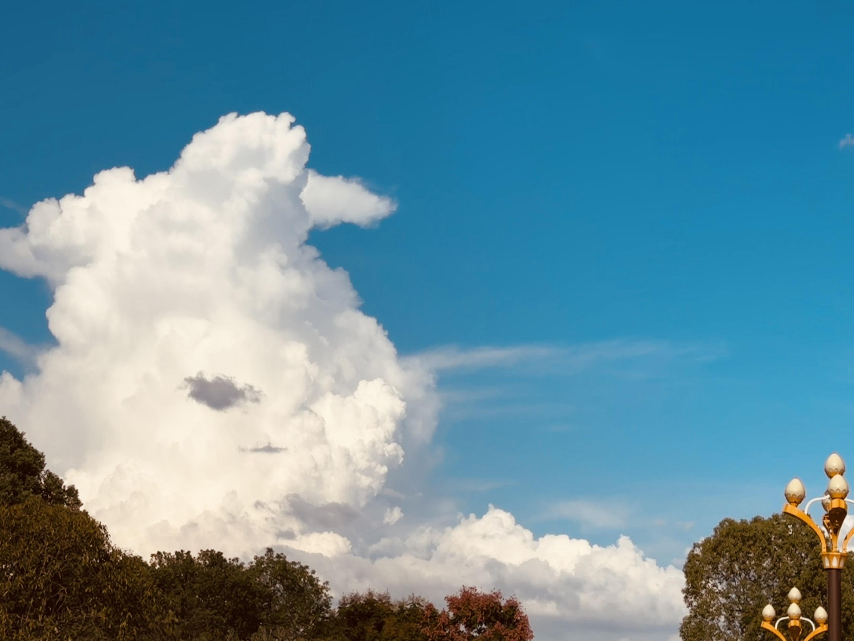 “靠近天空，什么也不用想。”