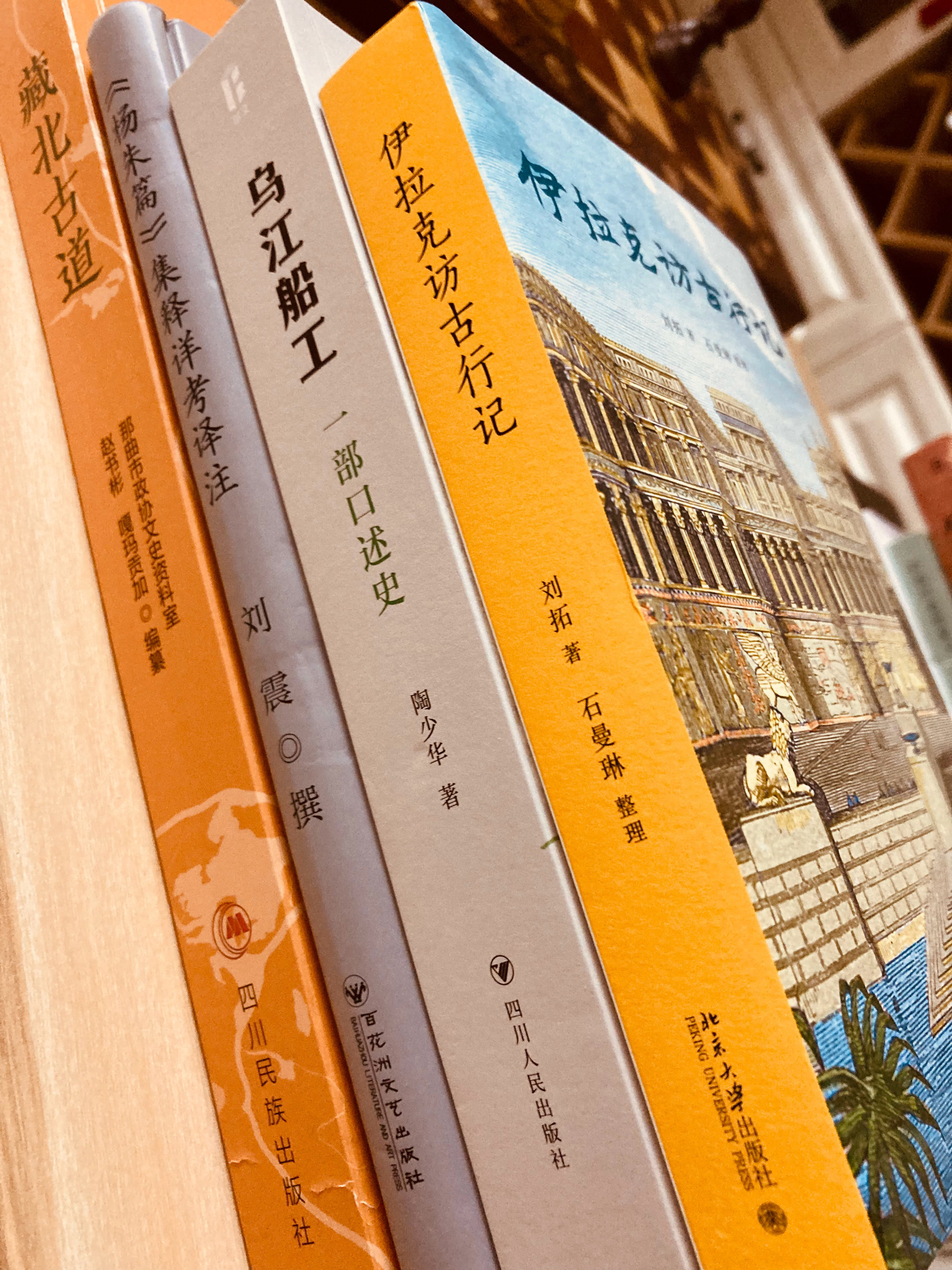 当当一单《伊拉克访古行记》《藏北古道》《乌江船工》《〈杨朱篇〉集释详考译注》书影