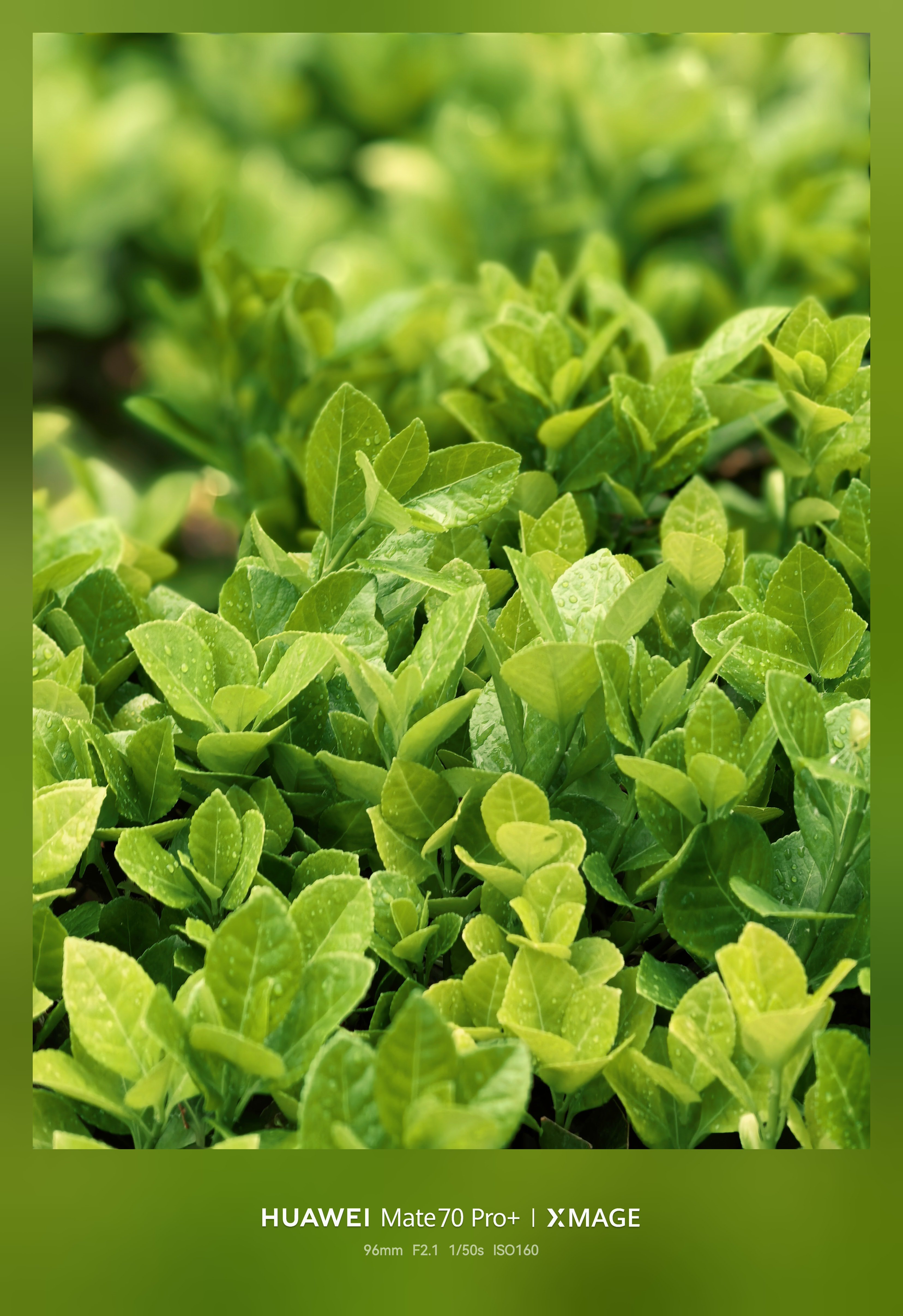 三月最后一天，对自己做个总结评论区一句话送给自己！ 