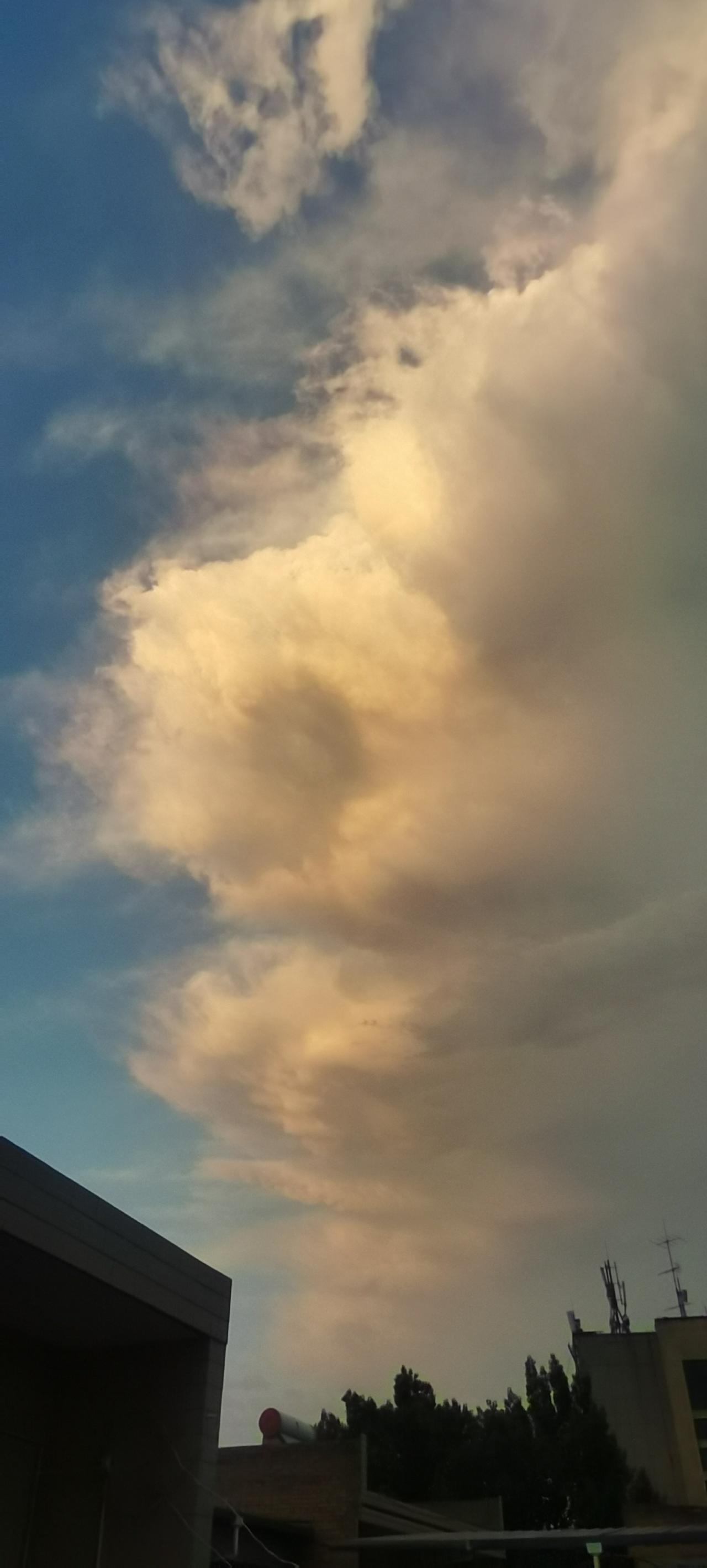晒晒你城市的天气今天天黑前，雨只是从渭南路过，连地皮都没有淋湿就走了。