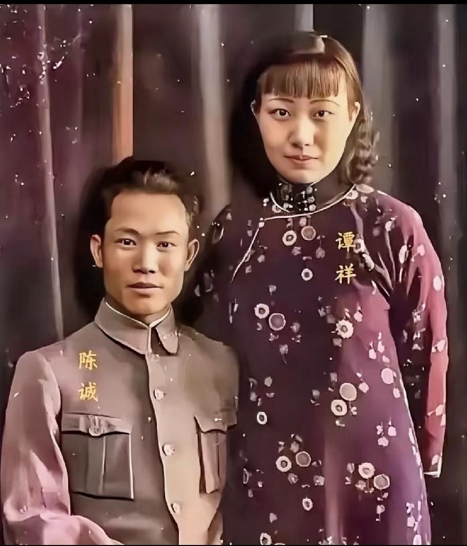 媒人都是高配介绍，宋美龄也不例外。
谭延闿去世，托宋美龄给女儿谭祥找丈夫。宋美龄