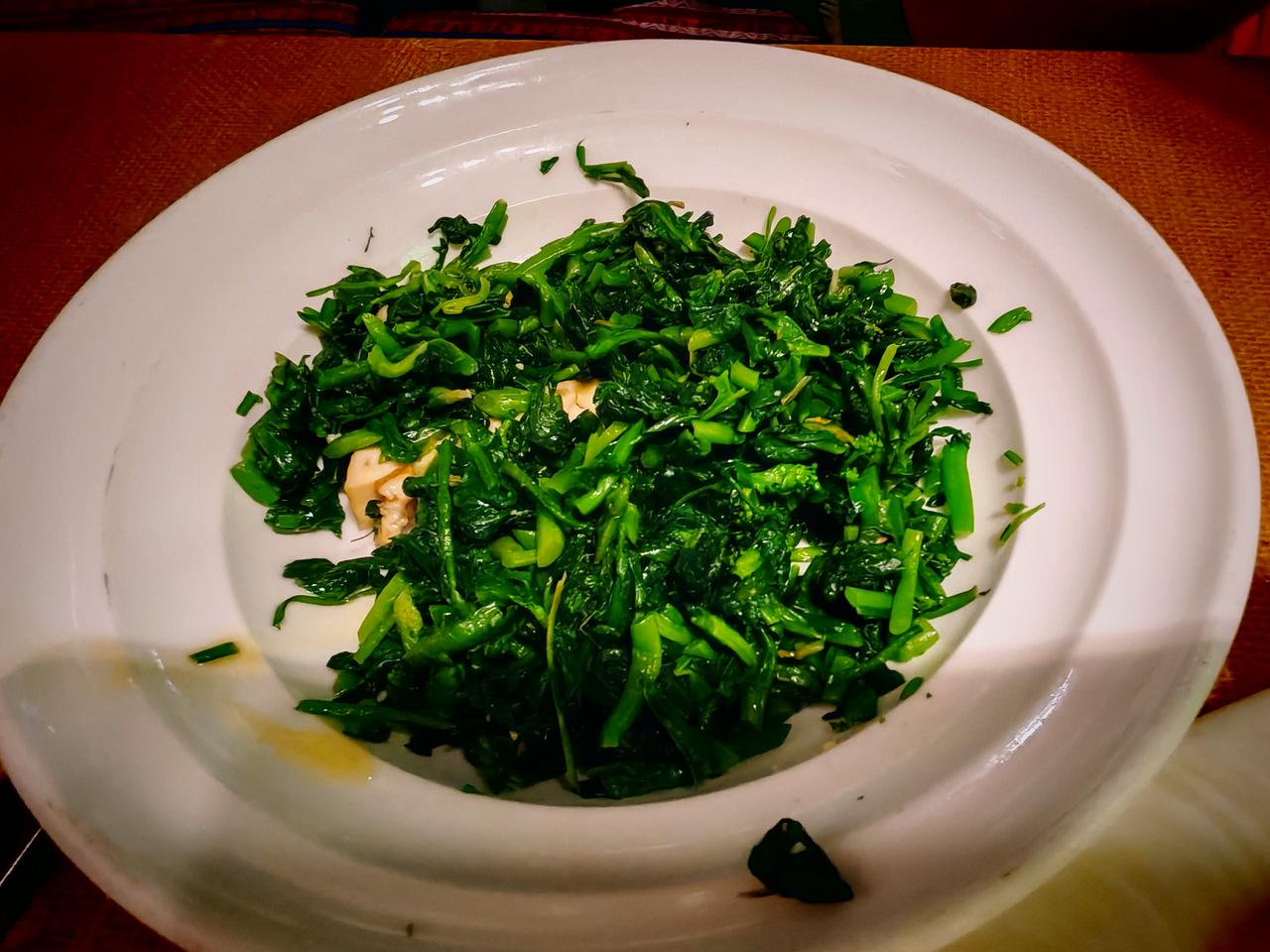 春日生活打卡季